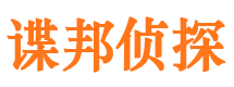 岚县调查事务所